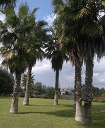 Fincaservice-3