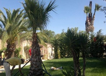 Garten-Bau-Pflege-19