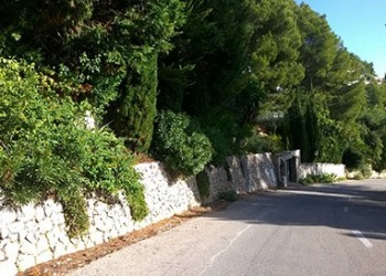 Garten-Bau-Pflege-26