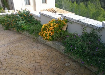 Garten-Bau-Pflege-28