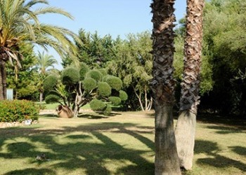 Garten-Bau-Pflege-3