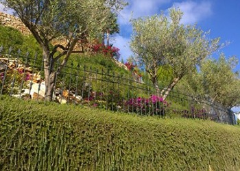 Garten-Bau-Pflege-33