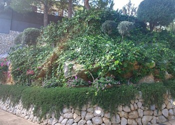 Garten-Bau-Pflege-34