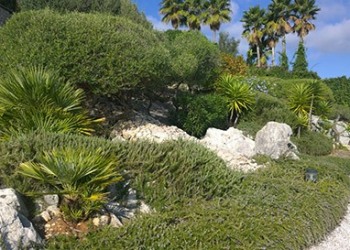Garten-Bau-Pflege-35