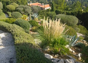 Garten-Bau-Pflege-36