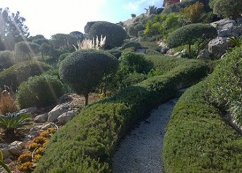 Garten-Bau-Pflege-37