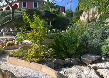 Garten-Bau-Pflege-38