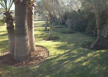 Garten-Bau-Pflege-4