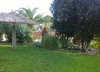 Garten-Bau-Pflege-40