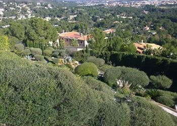 Garten-Bau-Pflege-43