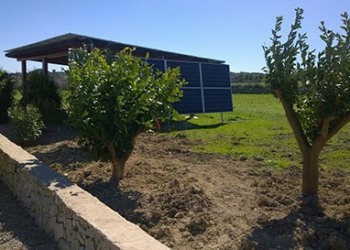 Garten-Bau-Pflege-53