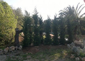 Garten-Bau-Pflege-9